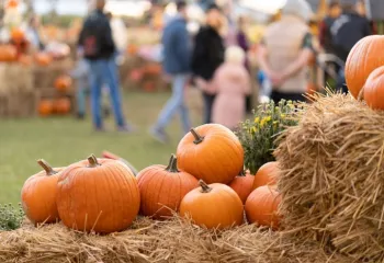 Fall Festival