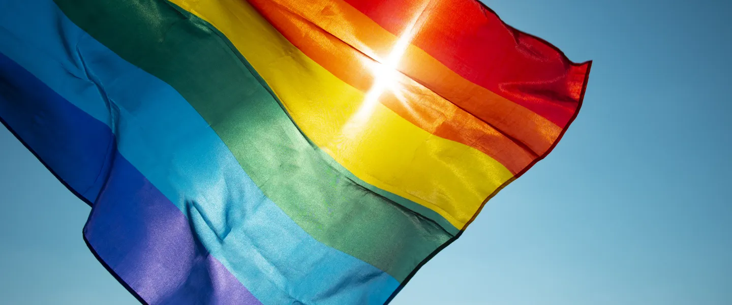 Flag flowing in the wind
